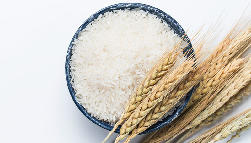 Our guide to cooking rice